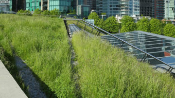 Cubiertas Ajardinadas